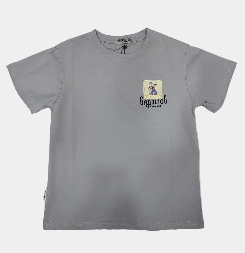 Gray t-shirt with a small logo on a light gray background