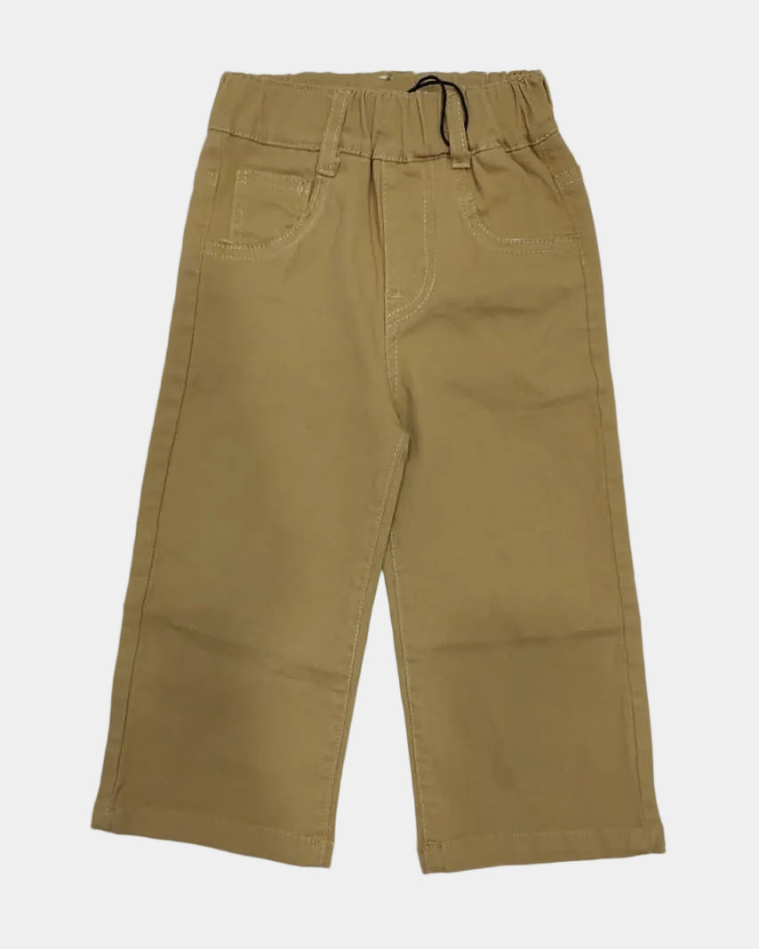 Beige pants on a white background