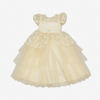 Lace Embroidery Frock