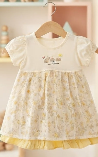 Baby girl Frock